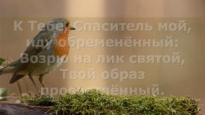 Господь Ты милостив. Христианской песне, которой более 160 лет!