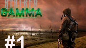 Stalker G.A.M.M.A. #1. Начинаем...