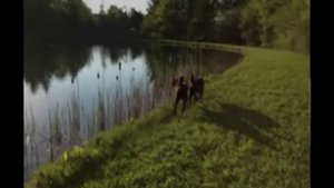 The Lonely Farm by William Bradford Baldwin