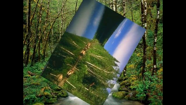 ОБ ОДИНОЧЕСТВЕ. ИЗ ПИСЬМА Е.И.РЕРИХ. /// Nelli Linde /// смотреть онлайн