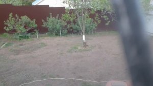 Ручная аэрация газона, покос и посев специально подобранной газонной травы ???