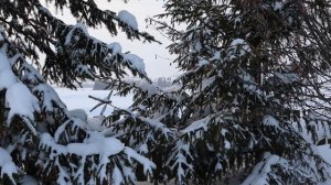 Зима в деревне - Звуки природы. Зимняя деревня