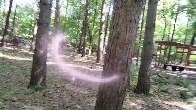 #бирюлевопарк #нашпарклетом #пешиепрогулки #дендропарклетом#жарища#веселыечихуа гуляем в жару +30 смотреть онлайн