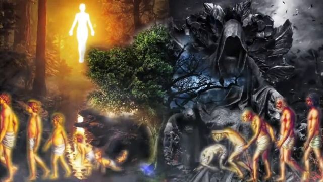 ЖИЗНЬ БЕССМЕРТИЯ...Дебора Вайнер