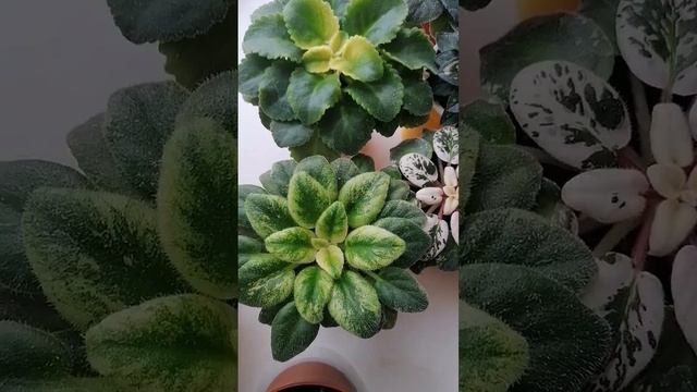 Девчонки, с праздником 8 марта ????? #8марта #праздник #подарки #веселье смотреть онлайн