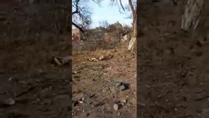 Красный луч, поселок Мирный.