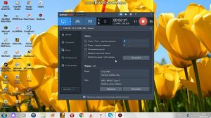 Как снимать видео экрана на компьютере и как без микрофона.