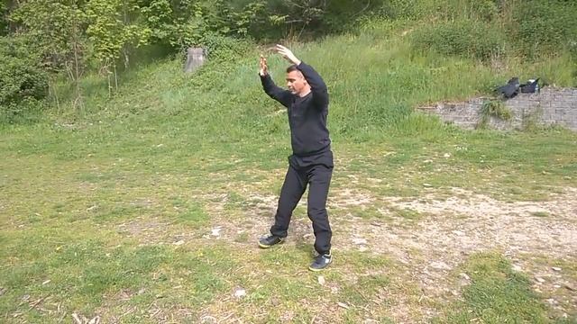 4éme section vue de dos Zhen zong taiji quan смотреть онлайн