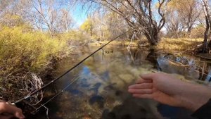 Рыбалка. Форель в горах Кыргызстана. Сусамыр.