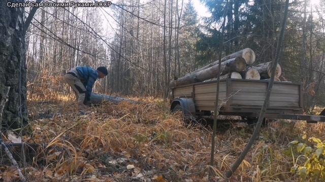 Транспортировка брёвен на минитракторе.Transportation of logs on a minitractor.