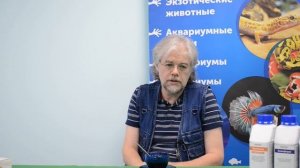 Болезни аквариумных рыб. Часть 1. Карантин. Болезни привозной и местной рыбы и не только