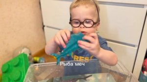 Малыш играет с рыбками. Мультик про рыб. 2 годика
