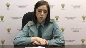 Возможности информационного сервиса «Таможенная проверка», входящего в состав АПС «Личный кабинет»