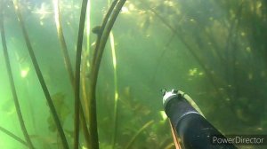 Река Белая. Подводная охота