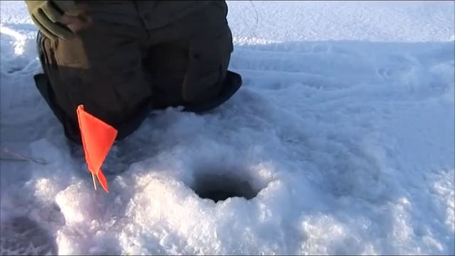 "Клуб охотников и рыболовов" от 12.01.2015 смотреть онлайн