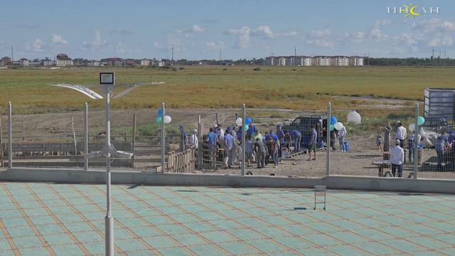 Пожелания и поздравления смотреть онлайн