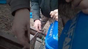 Ремонт двигателя лифан от мотоблока