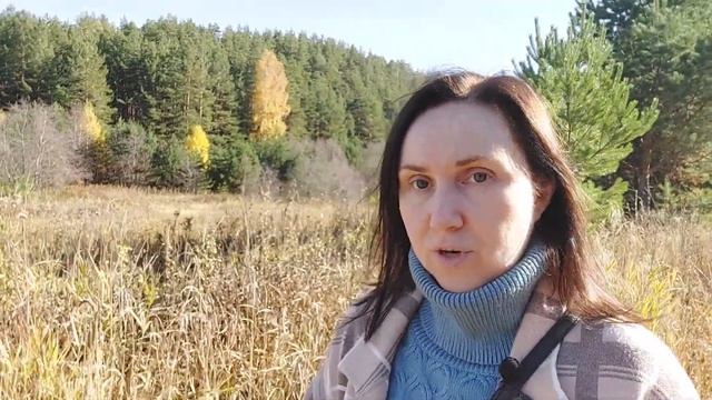 Итоги сентября, как сработал прогноз, просветление и Фен-Шуй, Дом Мечты | Александра Наумова