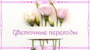 Цветочные переходы для Proshow Producer.mp4