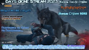 Days Gone Stream 2023 Жизнь после стрим Прохождение #8 День Взять Мясо Животных Мясо кончается