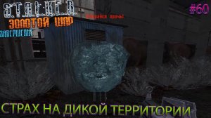 СТРАХ НА ДИКОЙ ТЕРРИТОРИИ | S.T.A.L.K.E.R. ЗОЛОТОЙ ШАР ЗАВЕРШЕНИЕ | Серия 60