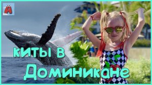 VLOG. КИТЫ в ДОМИНИКАНЕ. ОСТРОВ САОНА. AriШОК в ОТПУСКЕ #детскийканалAriШОК