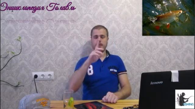 Энциклопедия Голавль смотреть онлайн