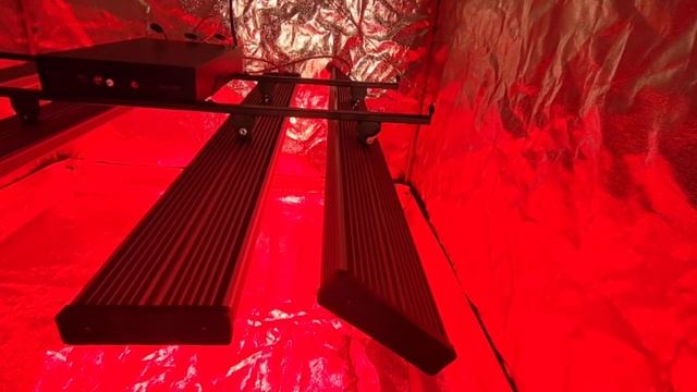 Двухканальная лампа 320+100w samsung lm301h + 660nm + 730nm смотреть онлайн