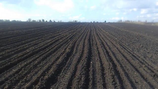 Скоростная посадка картофелесажалкой! смотреть онлайн