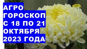 Агрогороскоп с 18 по 21 октября 2023 года. Agrohoroscope from October 18 to 21, 2023