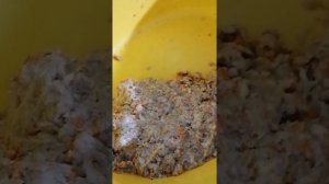 Делаю тушёнку-намазку.