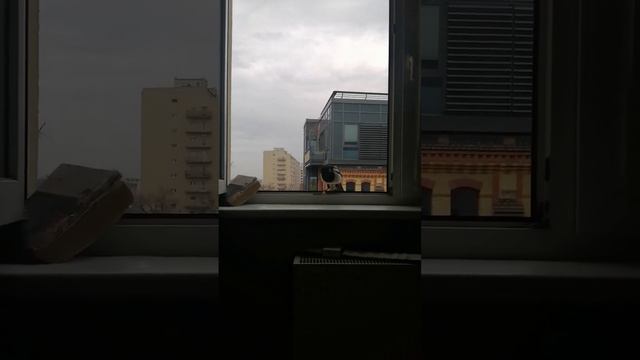 20 марта 2023 г. смотреть онлайн