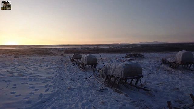 Утро в стойбище / север смотреть онлайн