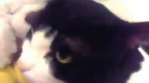 Мэси разговаривает