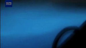 Ночесветки - секрет морского свечения