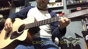 MARTIN BCPA4 Acoustic Bass Demo