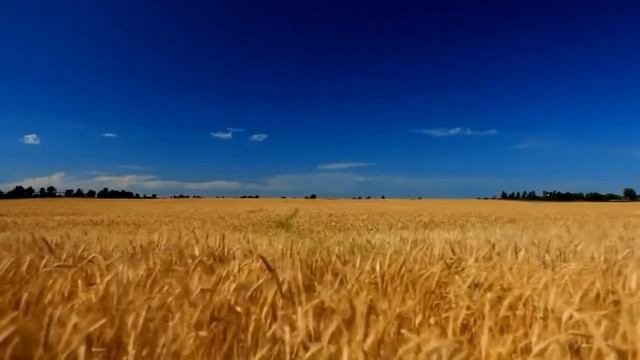 Медитация "Прощение отца" смотреть онлайн