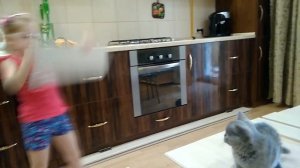 Дверца для кошки. Устанавливаем сами.