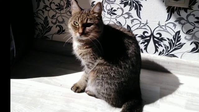 #братьянашименьшие Кормление.