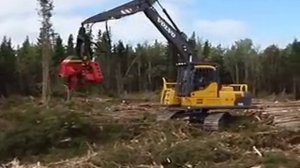 Volvo Harvester at Demo International 2008