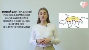 PROСТО О СЛОЖНОМ  Ферменты, Биохимия №7