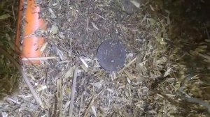 ТРАКТОРИСТ НА ПОЛЕ ПЛУГОМ ВЫТАЩИЛ НЕ ПОНЯТНЫЕ ЕМУ НАХОДКИ.