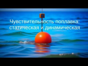 Чувствительность поплавка: статическая и динамическая