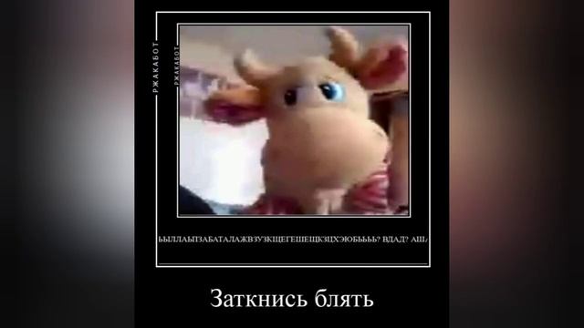 топ пять смешных анекдотов