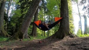 Красная поляна. Лучший маршрут для треккинга. Черничная тропа.