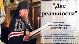 "Две реальности". Епископ Венёвский Феодорит.