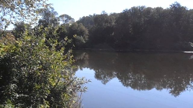 Участки у воды в Серпуховском районе Подмосковья. смотреть онлайн