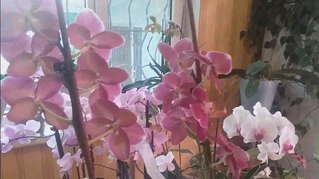 Дорабатываем горшок АРТЕ. Жизнь автора. смотреть онлайн