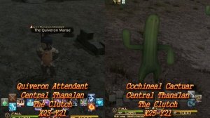 Final Fantasy 14 - Thumatuge Hunting log Rank 2 Cochineal Cactuar &Quiveron Attendant