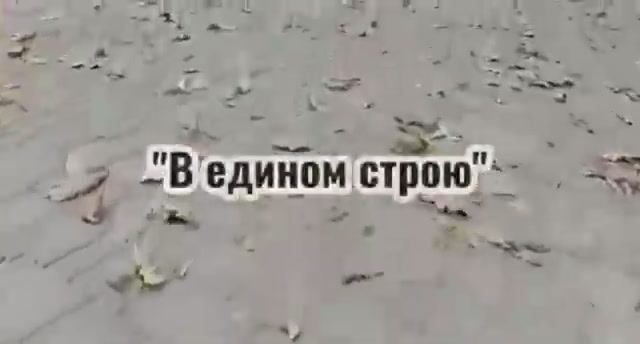 «В едином строю»